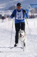 Lenk 2013